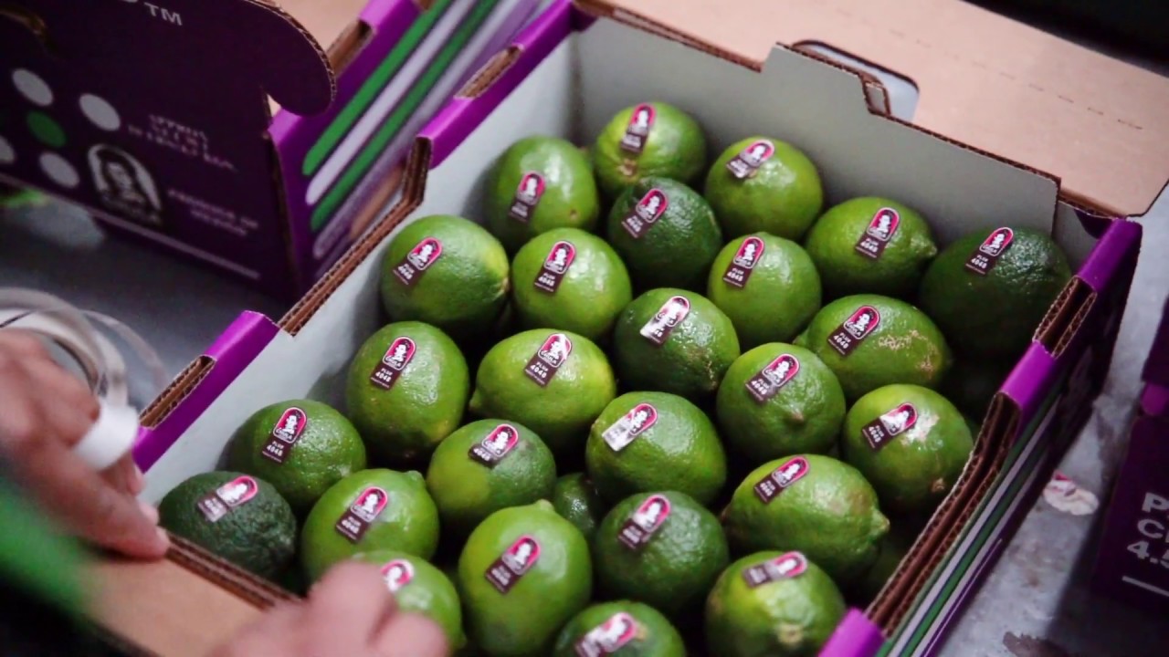 Chula Brand Limes YouTube