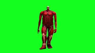 Aot Colossal An Green Screen