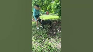 Lesson 4, exercise 4.1 shape a head dip : part 1