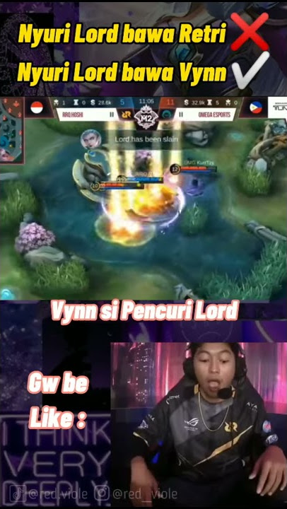STORY WA RRQ VYNN CURI LORD M2  II  STATUS WA CURI LORD PAKE EUDORA