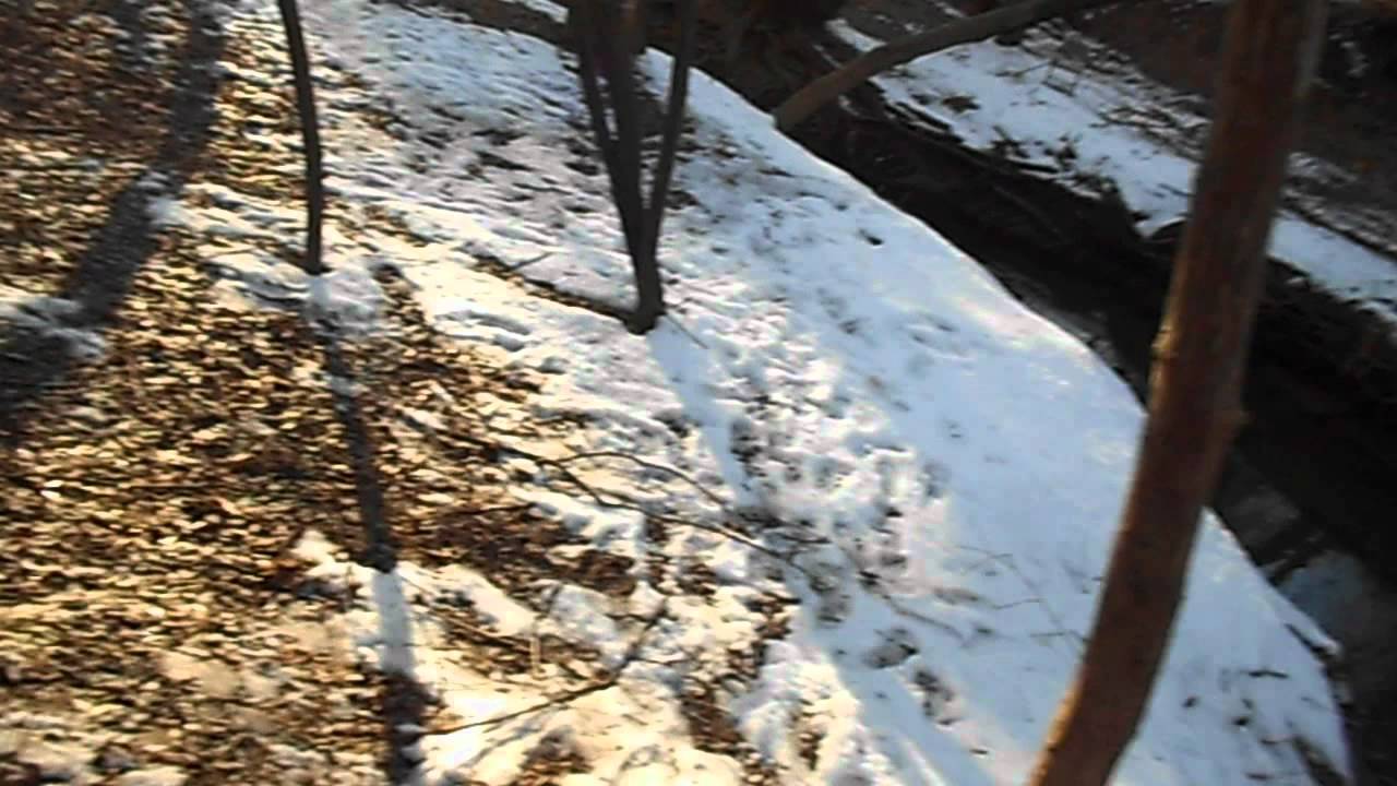 ADVENTURING!!(1-31-12Day34)