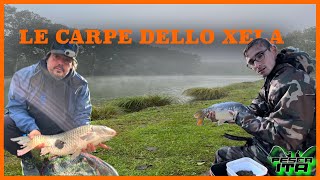 Method Feeder al Lago Olmo Le Carpe dello Xela