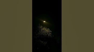 سورة الزمر بصوت القارئ عبد الرحيم محمد الشهري #سورة_الزمر #القرآن_الكريم #ياسرالدوسري