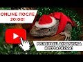 РОЗЫГРЫШ &quot;НОВОГОДНИЙ РАНДОМ&quot; 2017!