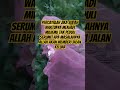 percayalah jika sudah waktunya menjadi milikmu #katakatabijak #motivation #quotes
