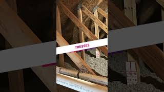 Walk in Your Attic Today! Quickest Tip