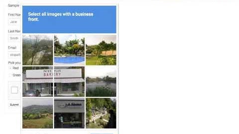 Multispan recaptcha demo