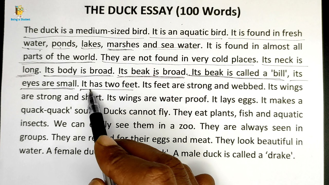 job duck essay example