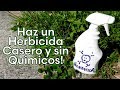 Como Hacer un Herbicida Casero sin Quimicos