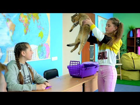 Видео: ПРИНЕСЛИ ЖИВОТНЫХ В ШКОЛУ!