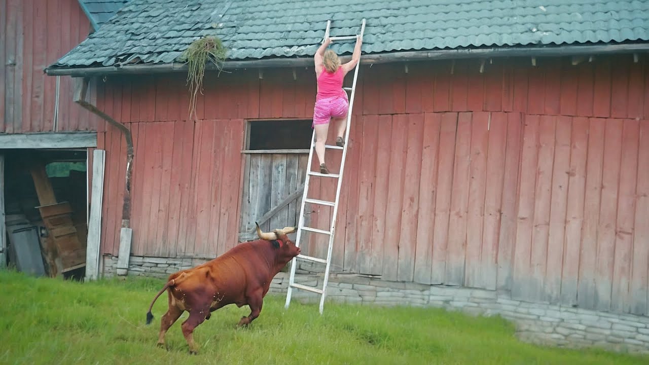 Слабоумие и Отвага! От Этих Идиотских Ошибок Волосы Дыбом!