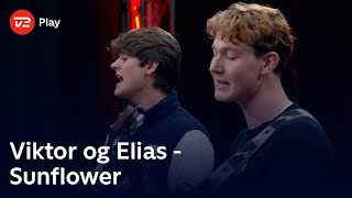 Viktor Og Elias Synger sunflower  Rex Orange audition  X Factor 2025  Tv 2