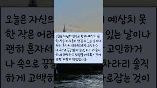 오늘의 운세#2024년11월10일 양띠운세