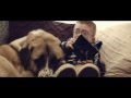 Haatchi and little b  teaser