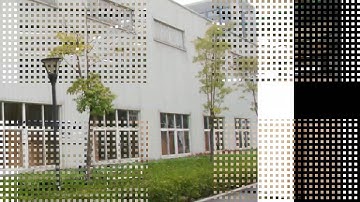 AMVT LLC - Optical color sorting solution provider!