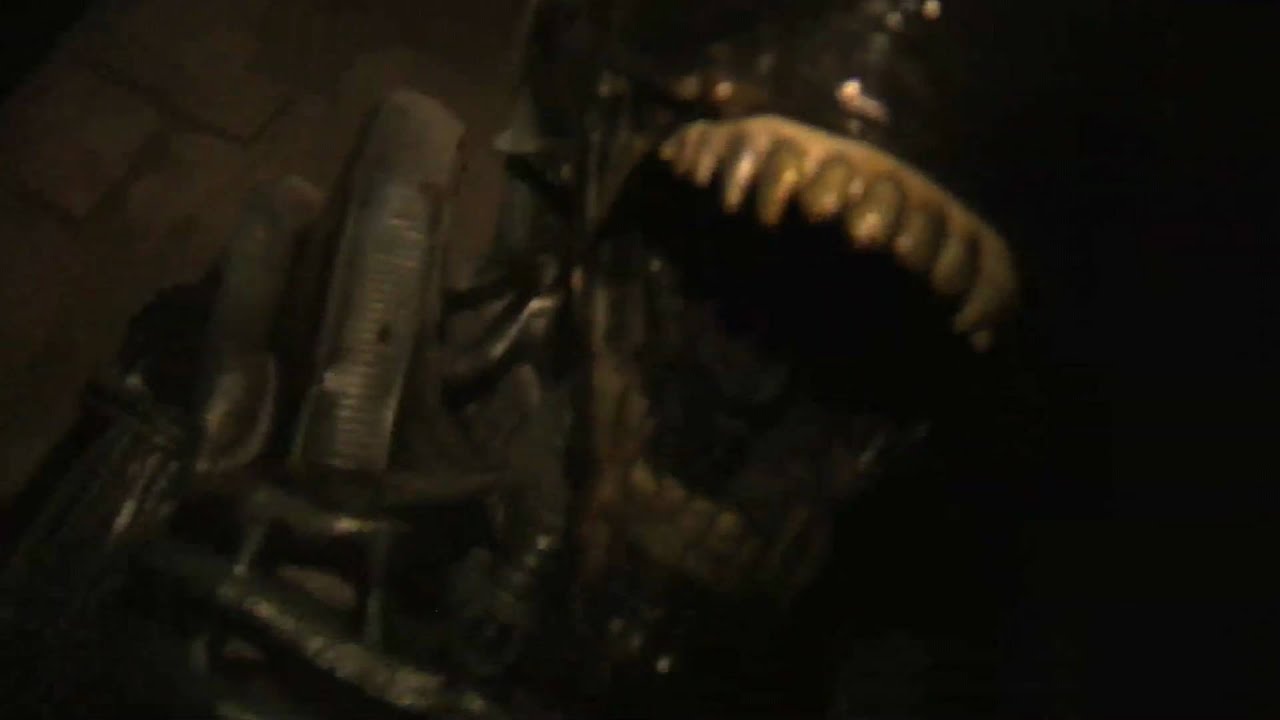Asylum Chamber of Horrors YouTube