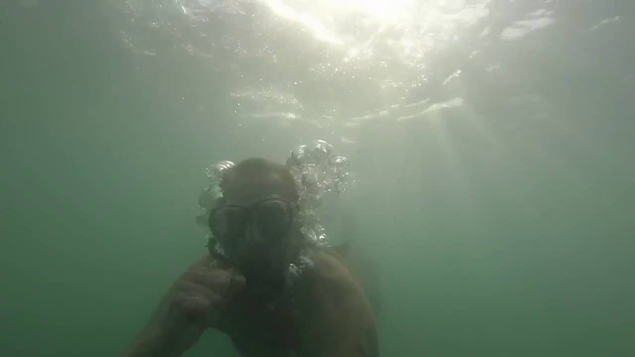 Browne Bear Diving - Trenton Channel 10 foot of water   sand and grass