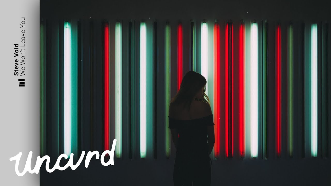 Steve Void & Syence - We Won't Leave You (Paperwings Remix)