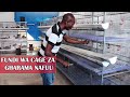 MAFUNDI WA UJENZI WA CAGES/KEJI ZA KISASA  ZA KUFUGIA KUKU ZA GHARAMA NAFUU