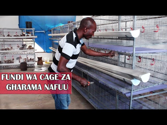 MAFUNDI WA UJENZI WA CAGES/KEJI ZA KISASA  ZA KUFUGIA KUKU ZA GHARAMA NAFUU class=