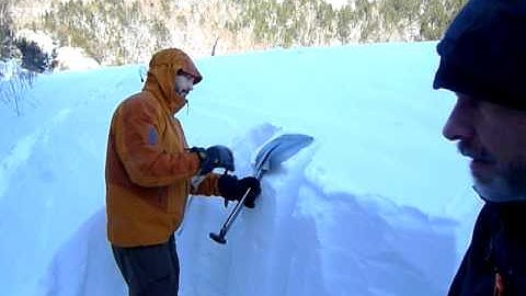 Learning the Snowpack Compression test