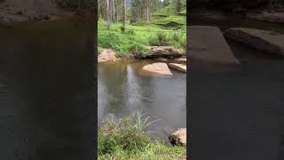 කොහෙද මේ ලන්කාවේ තමයි ? shortvideo nature traveldiaries viral travel lankan travelvideos