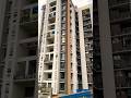 Kalim Kk KGC Solitaire 20 in Entally, Kolkata | Solitaire 20 | Solitaire 20 Flat price