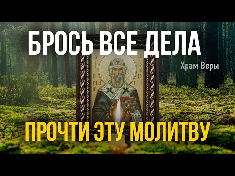 Брось все дела