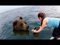 Animals That Asked People For Help