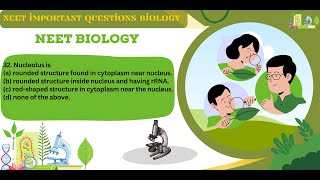 Nucleolus is || Cell The Unit of Life