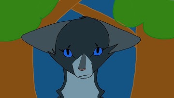 Part 8 // running with the wolves