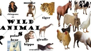 Animals in English الحيوانات بالانجليزية ‍⬛????‍️‍?????