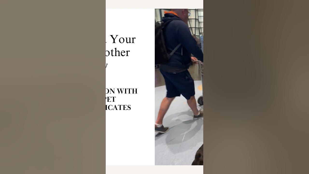 How To Send Your Dog To Another Country Easy YouTube how-to-send-your-dog-to-another-country-easy-youtube