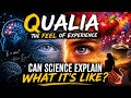 Can Science Explain Consciousness? The Mystery of Qualia