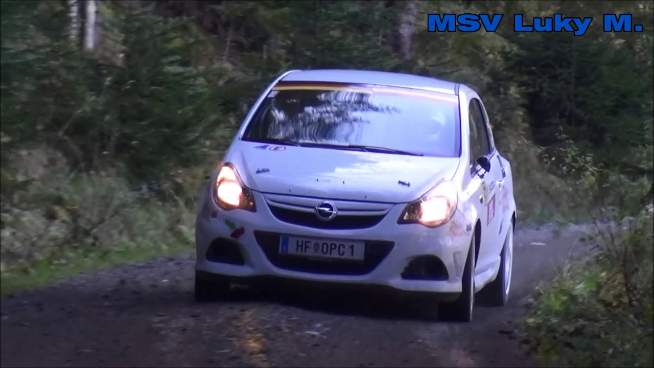Skoda Rallye Liezen 2017//Manuel Pfeifer//Dominik Autengruber