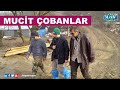 Mucit Çobanlar