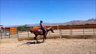 Stacy And Honey Trot And Gallop