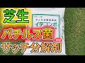 【芝生】バチルス菌／サッチ分解剤