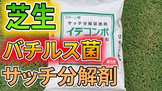 【芝生】バチルス菌／サッチ分解剤