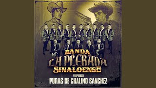 Video thumbnail of "Banda La Plebada Sinaloense - Popurri: Puras de Chalino Sanchez"