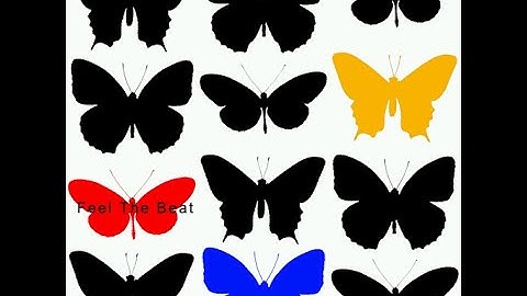 Feel The Beat // Master Source [re-recording of DDR XXTREME CSP Chart]