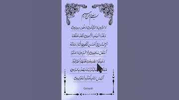 SURAH AT-TIN (سورة التين) 🤍 Egzon Ibrahimi ✨#egzonibrahimi #surahattin