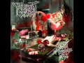 Decrepit Cadaver - Gagging On Afterbirth