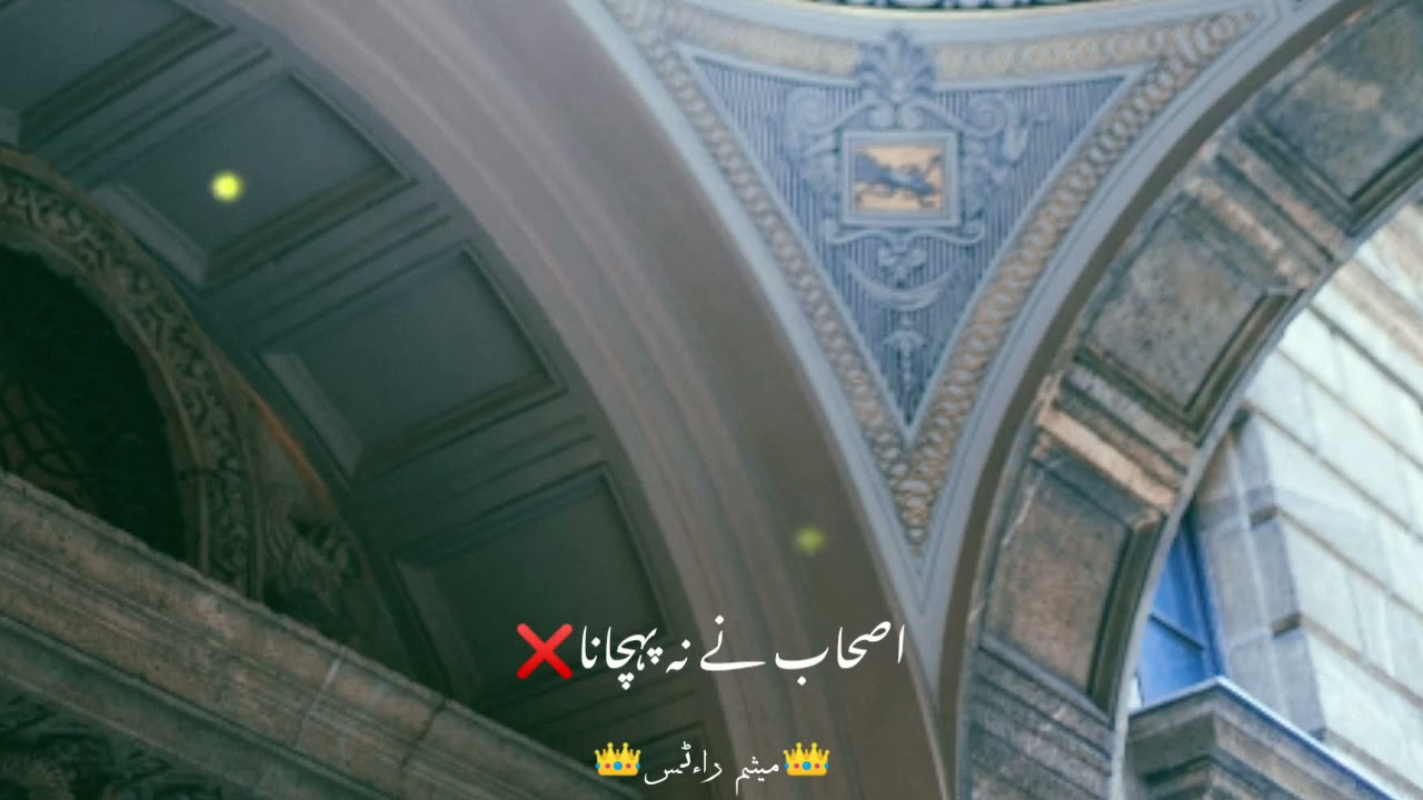 Haider Haider|Status Video|Farhan Ali Waris|Meesam Creation