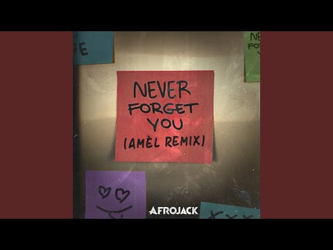 Never Forget You (Amél Remix)