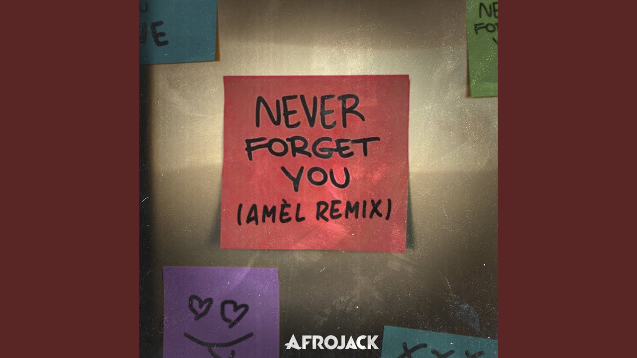 Never Forget You (Amél Remix)