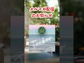 マインドフルネス瞑想ガイド メディテラス 公式 メルマガ配信のお知らせ