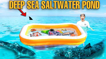 Building a SALTWATER POND in the MIDDLE OF THE OCEAN Full of EXOTIC SEA CREATURES!