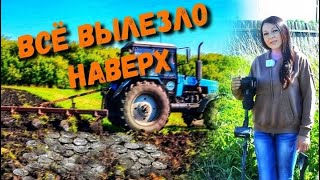 Распахал древнюю деревню и КУЧА НАХОДОК. СОБИРАЛИ В ТРИ ПРИБОРА