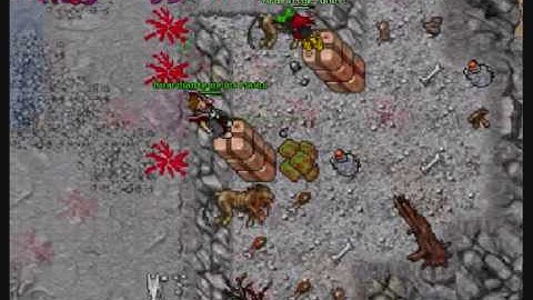 Tibia wyrm Espectacle!